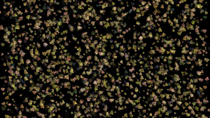 Abstract background pattern with plant matter.