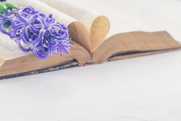 Vintage antique book and hyacinth on light background, selective focus