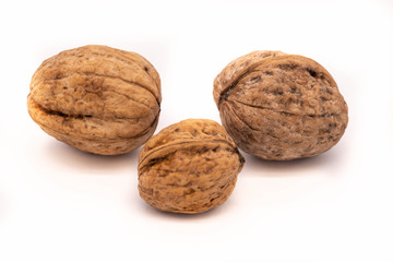 Walnut