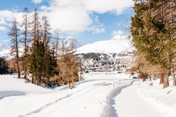 Fototapeta na wymiar St. Moritz, St. Moritzersee, Oberengadin, Winterwanderung, Wintersport, Winter, Stazerwald, Stazersee, Alpen, Graubünden, Schweiz