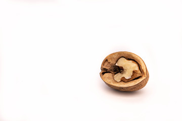 Walnut