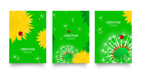 Floral set of posters, flyers or cards with blooming dandelions field flowers. Spring or summer bright yellow flowers, seed heads and red ladybugs on bright green background