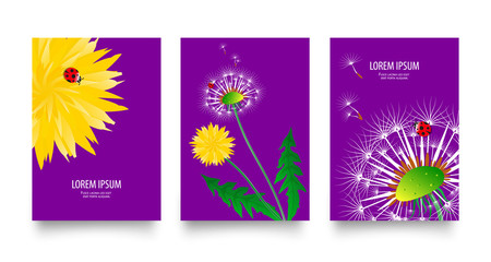 Floral set of posters, flyers or cards with dandelions field flowers. Vintage retro templates design. Spring or summer bright yellow flowers, seed heads and red ladybugs on bright purple background