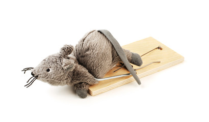 Toy mouse in a mousetrap isolated