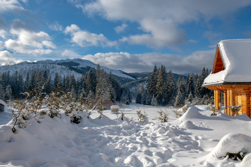 panorama - zimowa sceneria