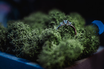  wedding ring on the grass