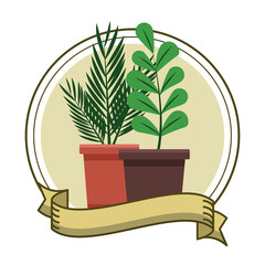 plants pot cartoon
