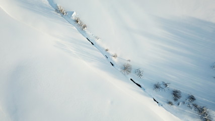Fototapeta na wymiar Bäume im Schnee