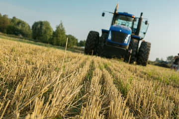Obraz premium the tractor fertilizes the field with manure. A large trailer. Sowing. Agroindustry.Pole before sowing. Against the sky. yellow tractor.
