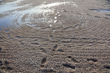 Friction trace in salt pond