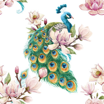 Watercolor peacock vector pattern