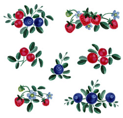 background,berry,blackberry,blueberry,composition,cranberry,currant,design,flowers,food,forest,fresh,fruit,green,healthy,illustration,isolated,isolated on white,juicy,leaf,lingonberry,natural,nature,o