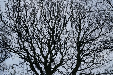 edinburgh shadows sunset birds flying