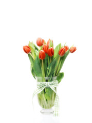 Spring tulips in vase, isolated on white background