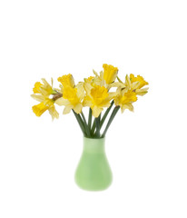 Yellow daffodils in a vase isolated on white