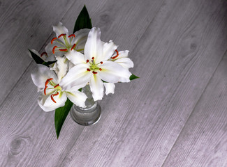 white lilies in a vase and on the floor with oranges