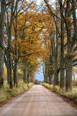 empty country gravel road with mud puddles and bumps