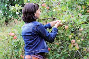 woman with apples