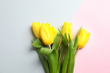 Beautiful tulips on light background, top view