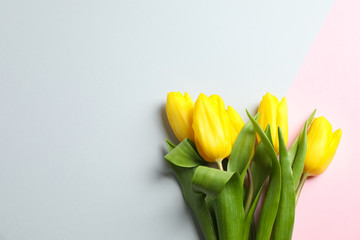 Beautiful tulips on light background, top view