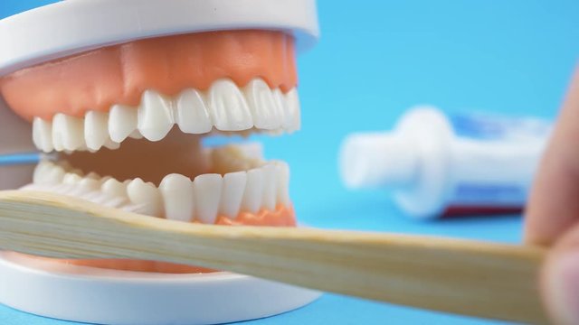 Dentist teaching how to brush teeth