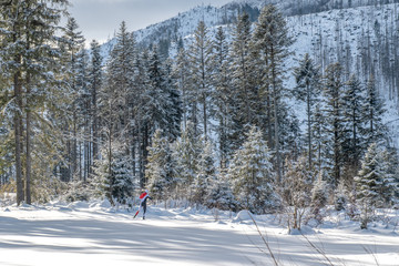 biegacz na trasie wyścigu, biathlon, Zakopane, Polska