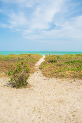 Path on the sand leading to the ocean - Ilha de Itamaraca, Brazil