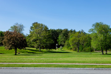 The beautiful park in Lake George