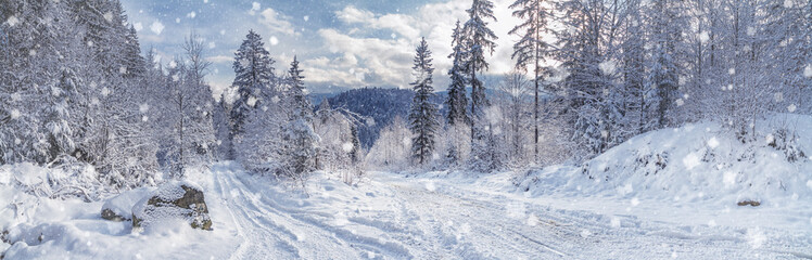Fototapeta na wymiar Winter landscape, panorama, banner - view of the snowy road in the winter mountain forest
