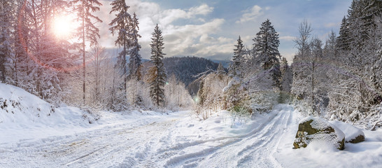 Winter landscape, panorama, banner - view of the snowy road in the winter mountain forest