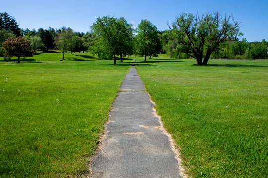 Along the path in the park