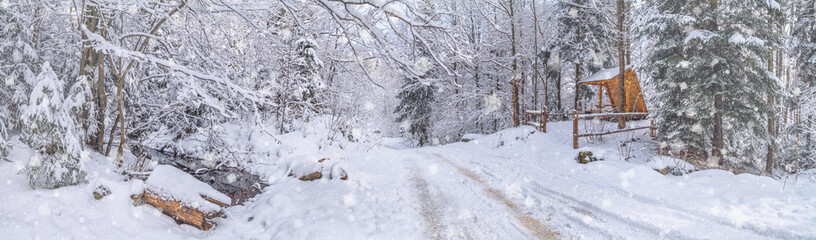 Winter landscape, panorama, banner - view of the gazebo near the snowy road in the winter mountain forest
