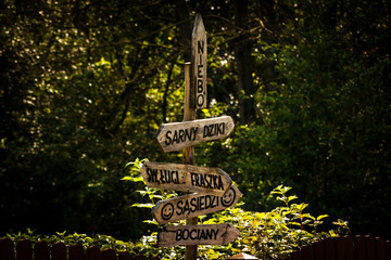 Którędy do nieba? © Natalia