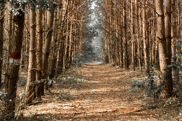 on pamięta © Natalia