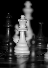 Scacchi fotografati su una scacchiera