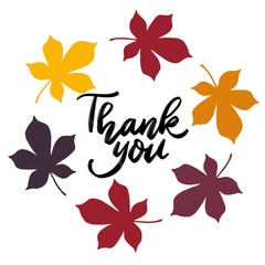 Thank you handwriting challigraphy in cute autumn leaves.