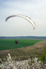 Paraglider flies over the fields and the blooming mountainside in the spring season. Paragliding over the spring fields and meadows near the Dniester River in Ukraine.