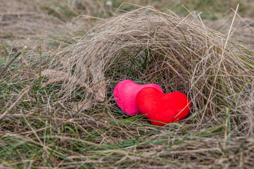 two hearts hugging in the February grass