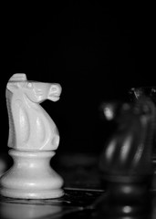 Scacchi fotografati su una scacchiera