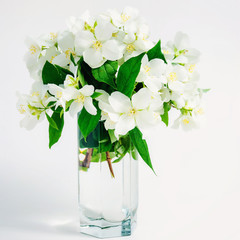 Beautiful jasmine flowers in a vase on the table