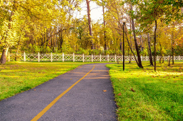 Fototapeta premium Walking and bike path in the park