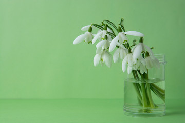 Spring flowers, white snowdrops over green background. Abstract background for greeting cards. Isolated.