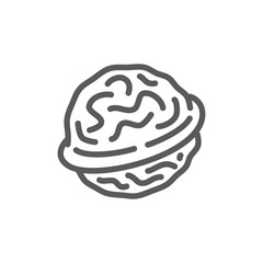 Walnut line icon.