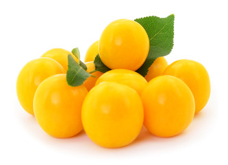 Plum branch with ripe fruits.