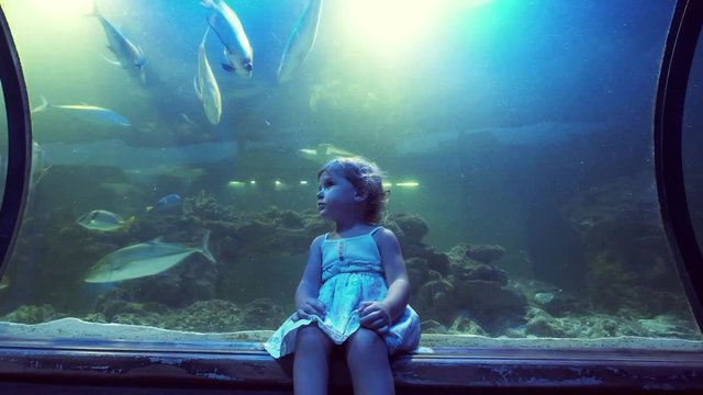 Little Girl Playing Near The Aquarium. Entertainment Center.