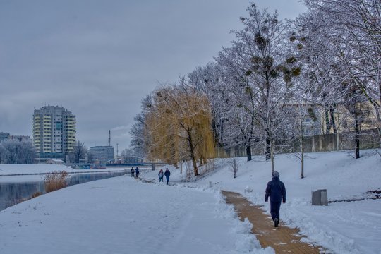 śnieżna i mroźna zima, zimowy spacer wzdłuż rzeki po odśnieżonej ścieżce, widoczne drzewa z jemiołą