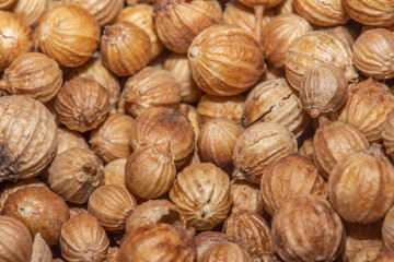 Coriander Seeds