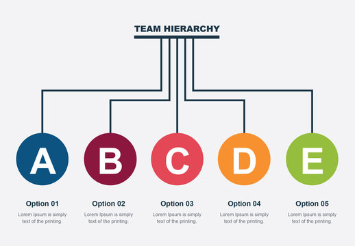 Team Hierarchy Infographic Layout