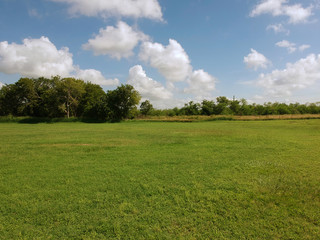 Open field