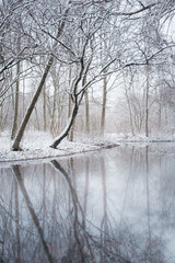 Fototapeta na wymiar January 2019. Winter lake in the park, trees covered with snow. Ansbach, Germany